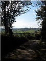 Country lane about Red House