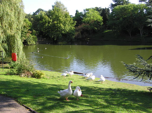 Lake at Queen's Park, Crewe