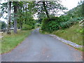 Driveway to Lochrosque Lodge