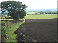 Farmland near Bowbank House Farm