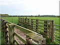 Sheep pen at High Moor Head Farm