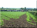 Slealandsburn Farm, near Longtown