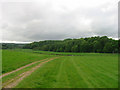 Path to Riding Farm from Urpeth Grange crossing R Team