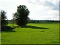 Farmland east of Norton