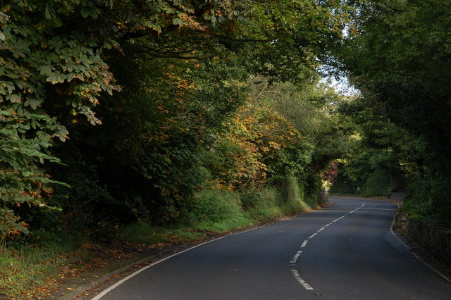 The Shore Road, Glynn (1)