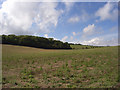 SU2375 : Farmland near Aldbourne by Andrew Smith