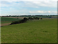 Downland above Aldbourne