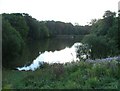 Western reservoir between Bury St. Austen