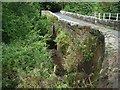 Bridge over the River Lyne