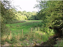 SJ3639 : Borderland grazings near Pentre Farm by John Haynes
