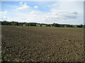 Looking over fields towards Firby