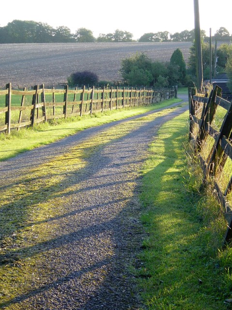 The track to Elmtree Farm