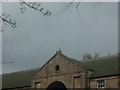 Oystercatchers on the roof