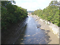 Looking along the New Cut from Goal Ferry Bridge