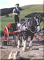 Little Haugh Agricultural Museum