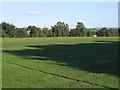 Another view of park in Audenshaw