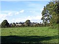 Looking across the fields towards Whitcliff Park