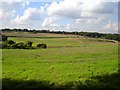 View northwest from Parsonage Farm