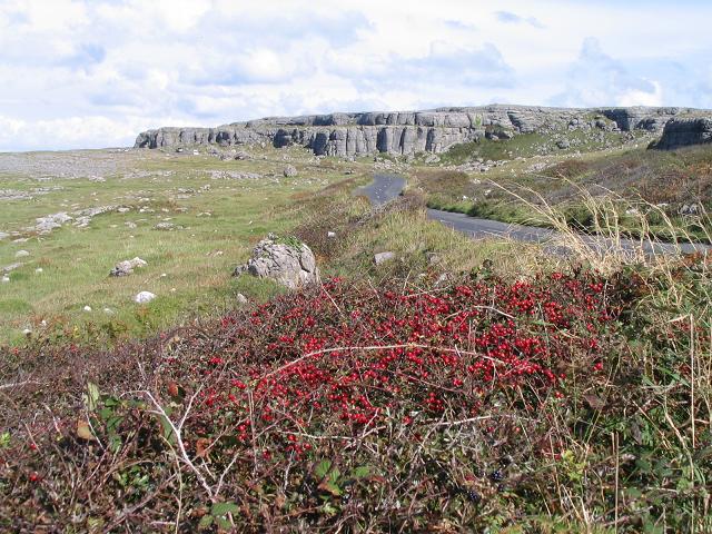 South West edge of The Burren
