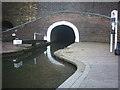 SO9491 : Tunnel Mouth, Black Country Museum by Martin Creek