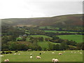 Farmland at Pant-y-drain