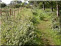 Footpath near Pitsford Road