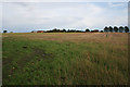 Farmland near Thorpe