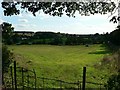 View across the fields to Crackleybank