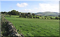 Hawthornside Farm in rolling Border countryside