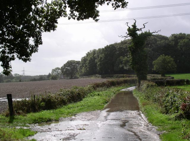 Flooded road, south of Hambledon