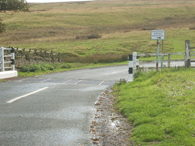 Cattle Grid at Moor House