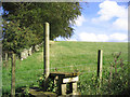 Stile on the way to Bonchester Hill