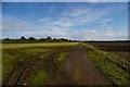 Boxted Airfield