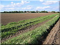 Beeford Footpath