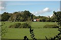 Grazing Field, Wainsford Road, Pennington