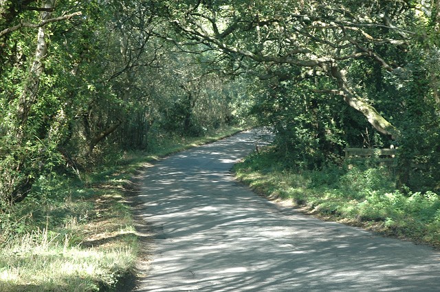 Country lane, Upper Pennington