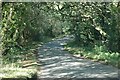 Country lane, Upper Pennington