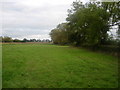 SP6818 : Field boundary along Tetchwick Brook by Mark Edwards