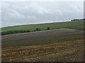 Farmland above Bishopstone