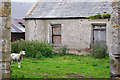 Parkhead Farmhouse beside Auchindoun castle