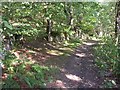 Gateway into the wood, Binns Top Lane, Southowram