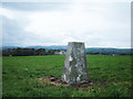 Lower Hill Trig Pillar (239 metres)