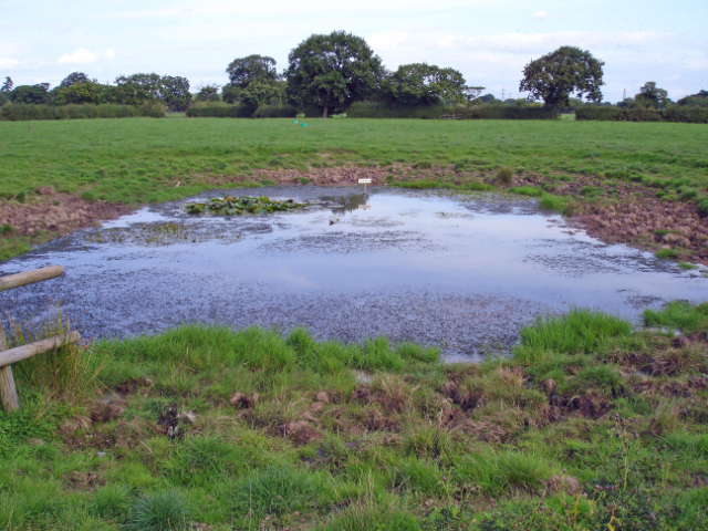 Capenhurst - field pond