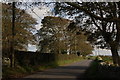 The Ballee Road near Downpatrick  (1)