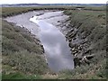 Floodplain Gully