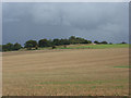 SU2782 : Farmland, Ashdown by Andrew Smith