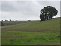 Farmland, East Leaze