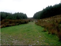 NR6114 : The Kintyre Way at Largiebaan. by Steve Partridge