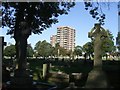 Quiet corner in Bentley Cemetery