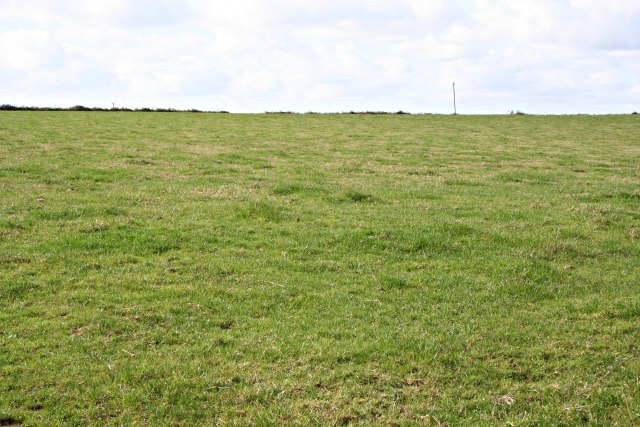 Large Pasture Field